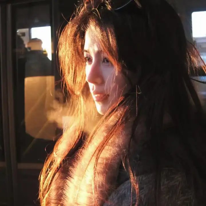 老处女日记